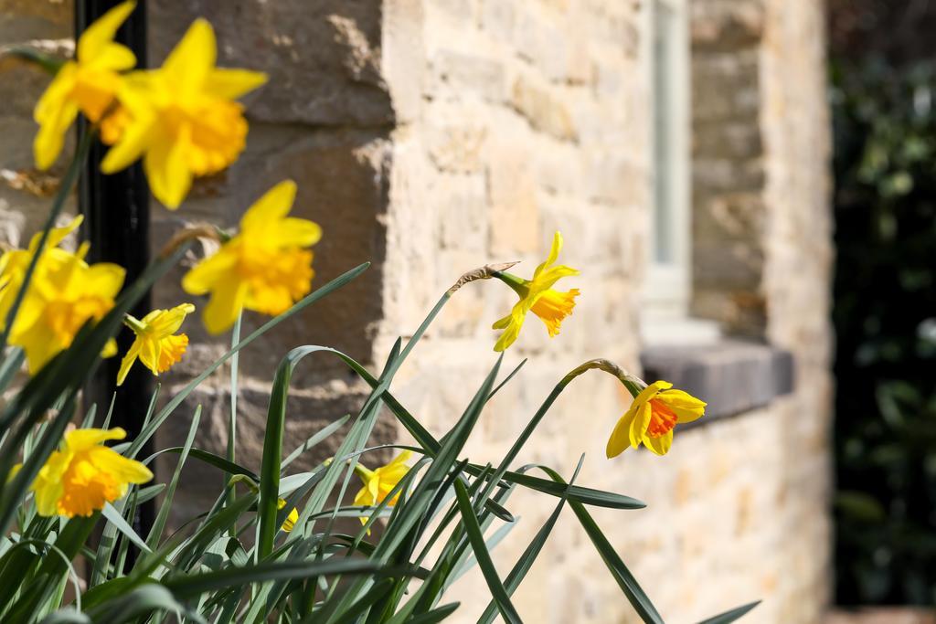 Hotel Stratton House &